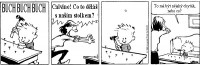 Comics - Calvin and Hobbes