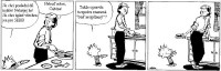 Comics - Calvin and Hobbes