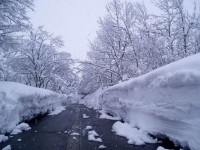 Japonská zima