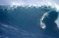 Surfař, ostrov Oahu, Havajské ostrovy, Spojené státy americké