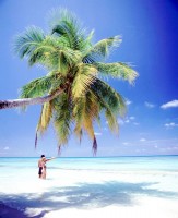 Jedna z nádherných bílých pláží, Maledivy, Indický oceán